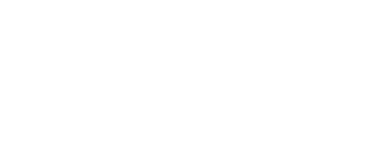 xb100 logo