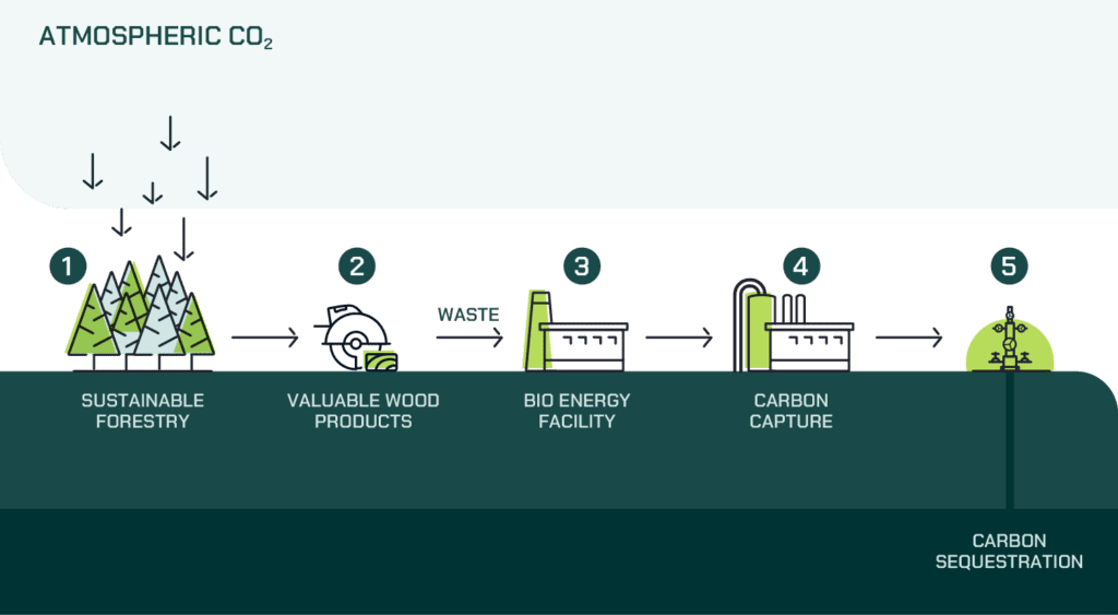 Bioenergy with carbon capture - North Star project Infographic